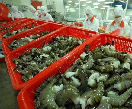 Motives for boosting Vietnamese prawn exports in the second half of 2023