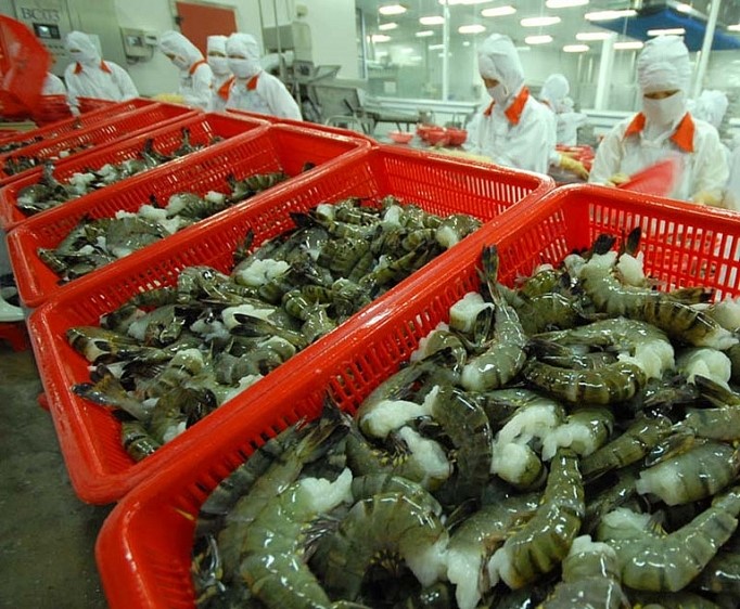The driving force to promote Vietnamese shrimp exports in the second half of 2023.