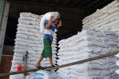 Doanh nghiệp xuất khẩu gạo nhỏ gặp khó, VCCI trình loạt kiến nghị