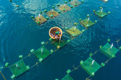 Tăng cường chỉ đạo nuôi trồng thủy sản, đảm bảo kế hoạch tăng trưởng 2023