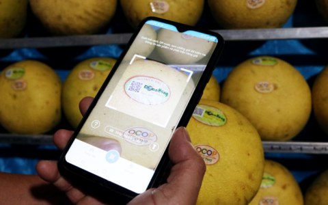Over 2,000 agricultural products are marked with traceability stamps, according to Phu Tho.