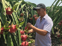 Hội chợ iFresh 16: Cơ hội cho Nông sản Việt Nam ra thị trường thế giới