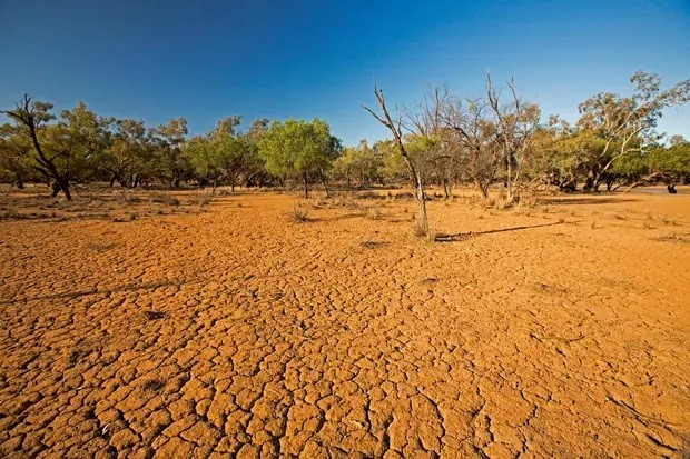 US officials predict 62% of El Niño events will occur in July, causing heat waves, droughts and wildfires to increase in Australia. Photo: Alamy