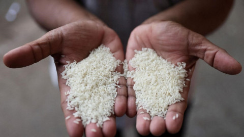 India's ban on rice exports places the international market in a competitive position.