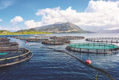 Gỡ bỏ thách thức để phát triển nuôi trồng thủy sản biển với du lịch
