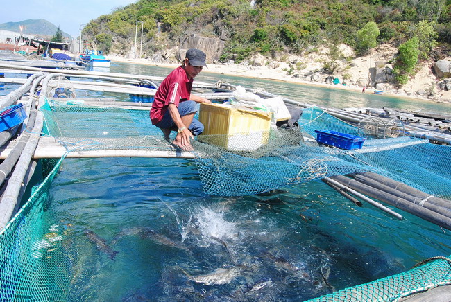 Gỡ bỏ thách thức để phát triển nuôi trồng thủy sản biển với du lịch