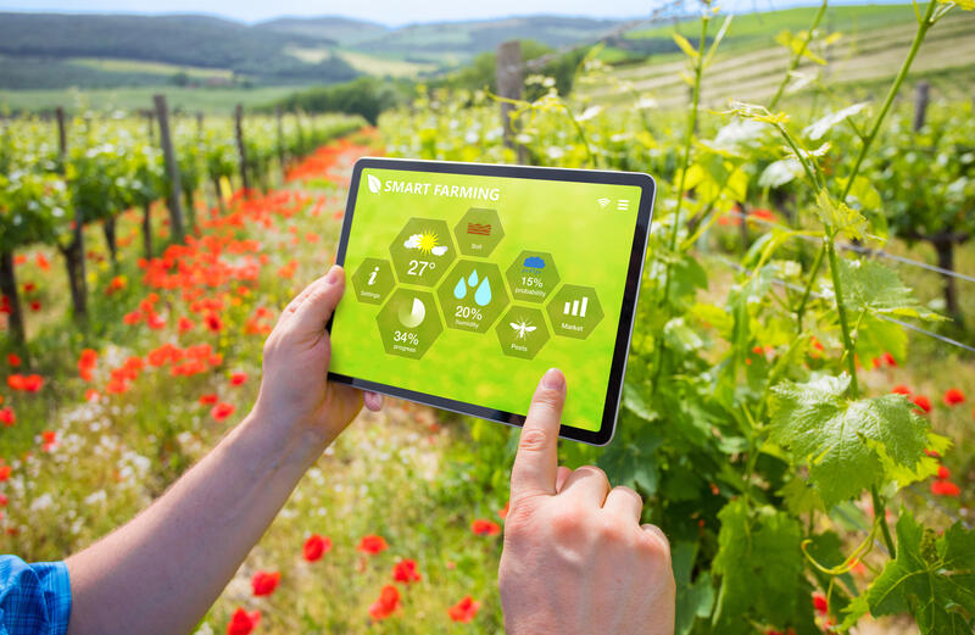 Digital transformation towards green agriculture and sustainable development.