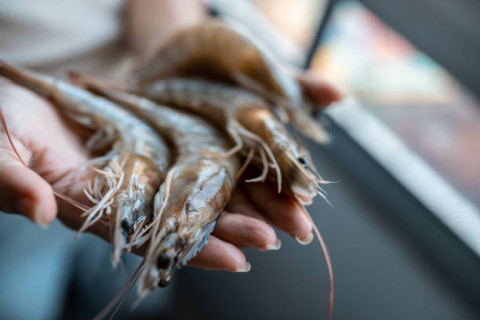 The tax rate on Vietnamese prawns imported into Korea ranges from 14 to 20%.