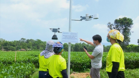 Digital transformation for sustainable agriculture and development