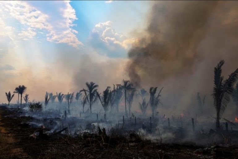 Only 20% of financial firms measure their exposure to nature. Photo: AFP