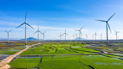 Trung Quốc: Dẫn đầu thị trường năng lượng gió toàn cầu