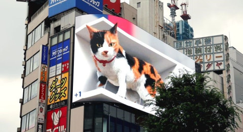 The future of leading advertising trends is 3D billboards