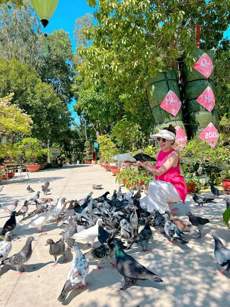 Visitors enjoy the bold pigeons