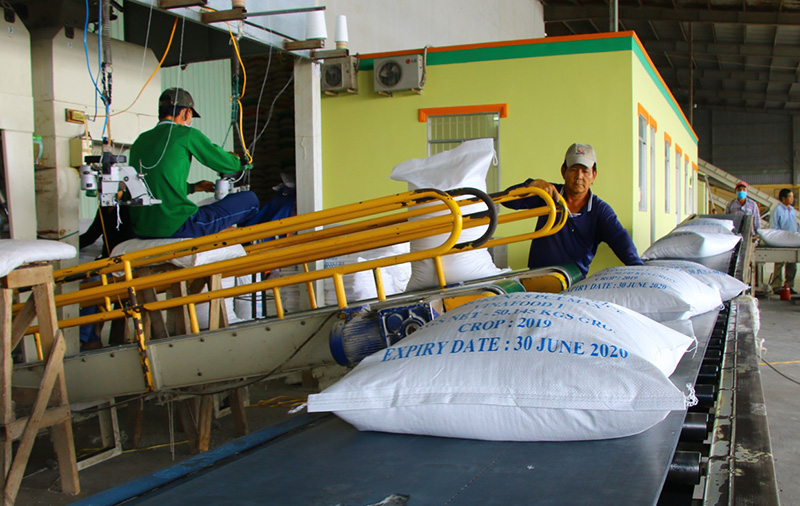 Đồng Tháp có hơn 20 doanh nghiệp đáp ứng tiêu chuẩn xuất khẩu gạo