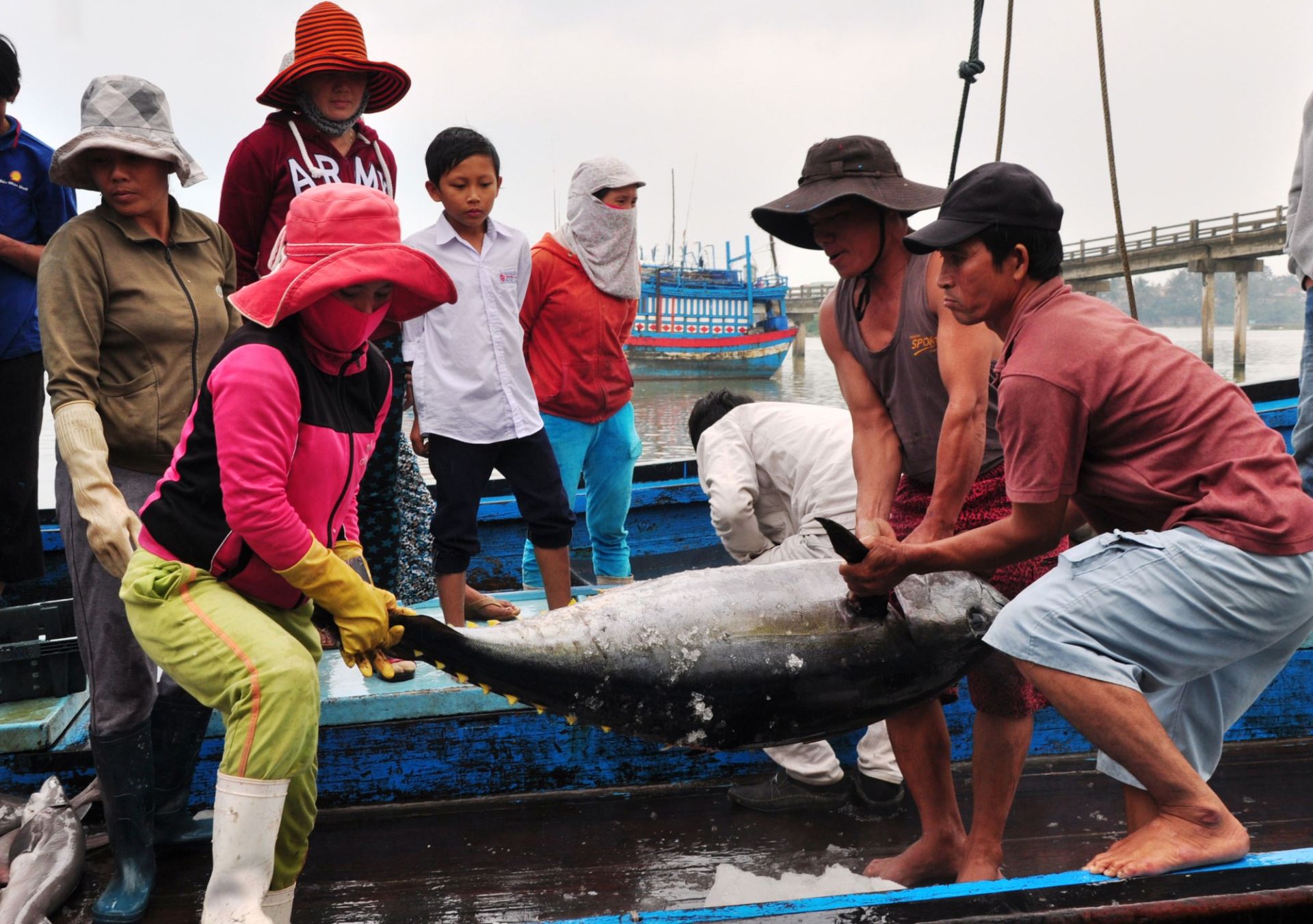 Chuẩn bị đón Đoàn thanh tra của EC kiểm tra khai thác thủy sản theo IUU