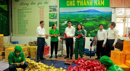 Chủ tịch Ủy ban MTTQ tỉnh kiểm tra dây chuyền sản xuất các sản phẩm chè tại HTX chè Thành Nam, thị trấn Thanh Sơn