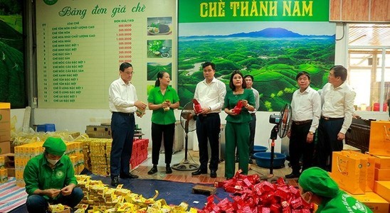 Chairman of the Provincial Fatherland Front Committee inspected the production line of tea products at Thanh Nam Tea Cooperative, Thanh Son town.