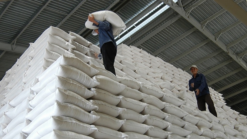 Cục Dự trữ Nhà nước Tây Nam Bộ hoàn thành việc nhập kho hàng nghìn tấn gạo trước hạn