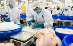 Mỹ giảm thuế cho sản phẩm cá tra phi lê đông lạnh Việt Nam