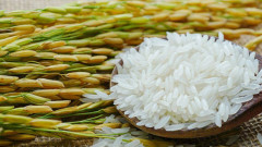 Campuchia: Kỳ vọng vào mục tiêu đạt xuất khẩu 1 triệu tấn gạo vào năm 2025