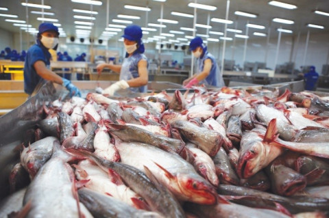 US preliminary determination Reduce antidumping duties on Vietnamese pangasius.