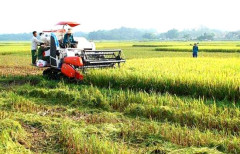 Phú Thọ: Áp dụng khoa học kỹ thuật vào sản xuất nông nghiệp