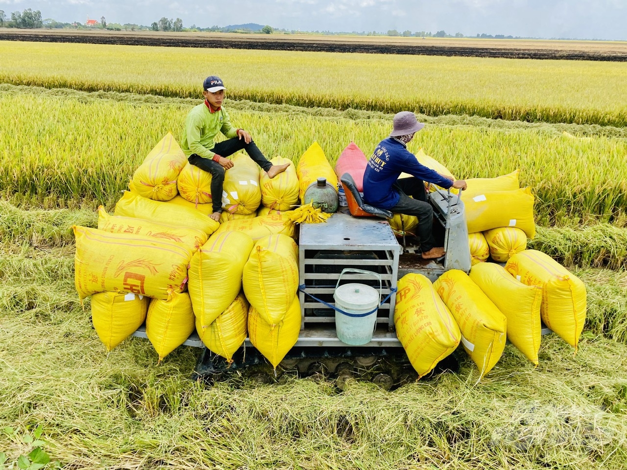 Đồng Tháp kêu gọi các doanh nghiệp cùng tham gia Dự án TRVC.