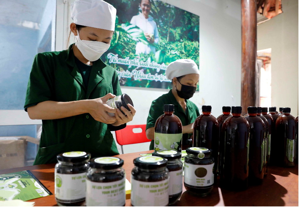 Nguồn vốn ưu đãi đã tiếp sức kịp thời để Hợp tác xã Best One, Tam Kỳ (Quảng Nam) duy trì được sản xuất và tạo việc làm cho 8 lao động địa phương Nguồn vốn ưu đãi đã tiếp sức kịp thời để Hợp tác xã Best One, Tam Kỳ (Quảng Nam) duy trì được sản xuất và tạo việc làm cho 8 lao động địa phương