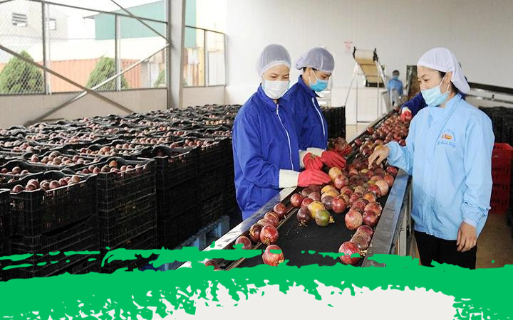 Huyện Phú Giáo trưng bày, giới thiệu các sản phẩm nông sản đặc trưng tại Hội chợ thương mại, nông sản và thiết bị nông nghiệp năm 2023