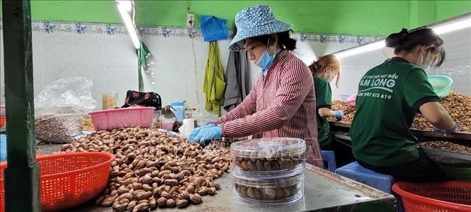 Nam Long cashew products have been awarded 4 stars as OCOP products of Ba Ria-Vung Tau province. Photo: Hoang Nhi/TTXVN.