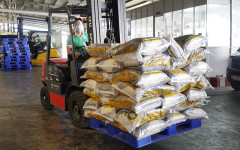 Malaysia kêu gọi các thành viên ASEAN nên ưu tiên xuất khẩu gạo trong khu vực