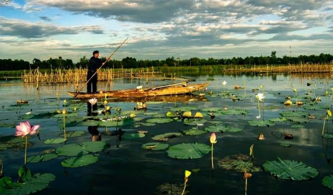 Vừa qua, lãnh đạo TP.Tam Kỳ đề xuất đầu tư gần 120 tỷ đồng khơi thông tiềm năng sông Đầm, phát triển du lịch sinh thái