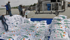Campuchia nhập 438.704 tấn phân bón xuất khẩu của Việt Nam