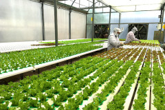 Ứng dụng khoa học công nghệ để phát triển nông nghiệp bền vững