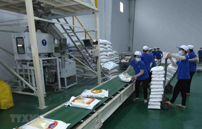 Packing rice products for export at the factory of Trung An High-tech Agriculture Joint Stock Company, Thot Not district, Can Tho city. (Photo: Vu Sinh/TTXVN).