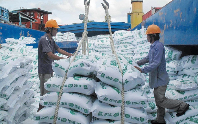 Công bố danh sách các doanh nghiệp đủ điều kiện xuất khẩu gạo đến 18/10
