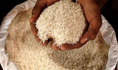 Ấn Độ cho phép xuất khẩu 1 triệu tấn gạo trắng tới 7 quốc gia