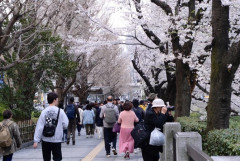 Nhật Bản giải quyết tình trạng quá tải du khách quốc tế