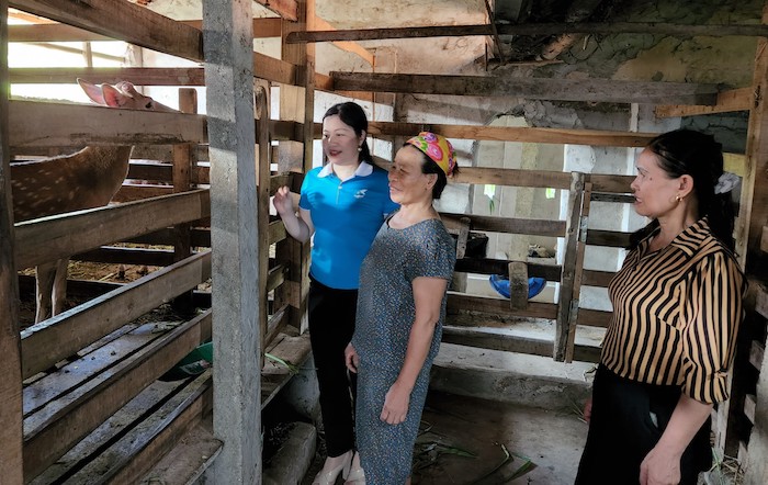 Nguồn vốn tín dụng chính sách đã giúp nhiều phụ nữ ở thị xã Hoàng Mai phát triển kinh tế bằng các mô hình chăn nuôi hiệu quả