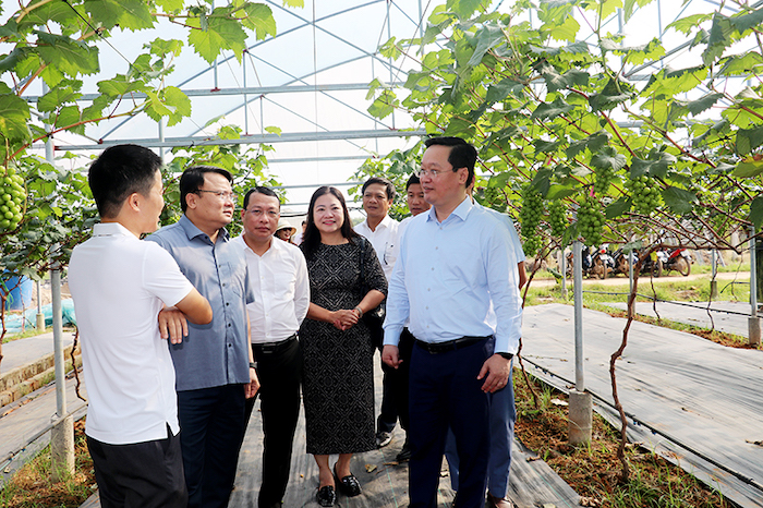 Chủ tịch UBND tỉnh Nghệ An Nguyễn Đức Trung thăm mô hình sản xuất nông nghiệp công nghệ cao của Công ty TNHH Hùng Cường tại thị xã Thái Hoà và lắng nghe đề xuất của doanh nghiệp