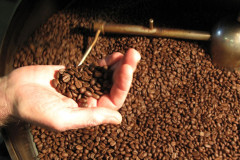 Top 5 thị trường cung cấp cà phê nhiều nhất cho Italia "gọi tên" Việt Nam