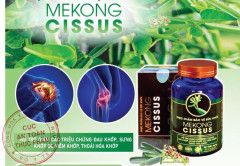 Mekong Cissus - thực phẩm bảo vệ sức khỏe xương khớp độc đáo