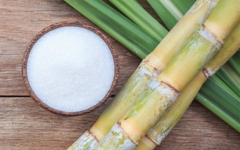 The Sugarcane Association issues industry development orientation for the period 2023 – 2024