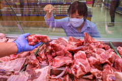 Thịt heo nhập khẩu liên tục tăng nhưng chưa đủ sức tác động giá nội địa