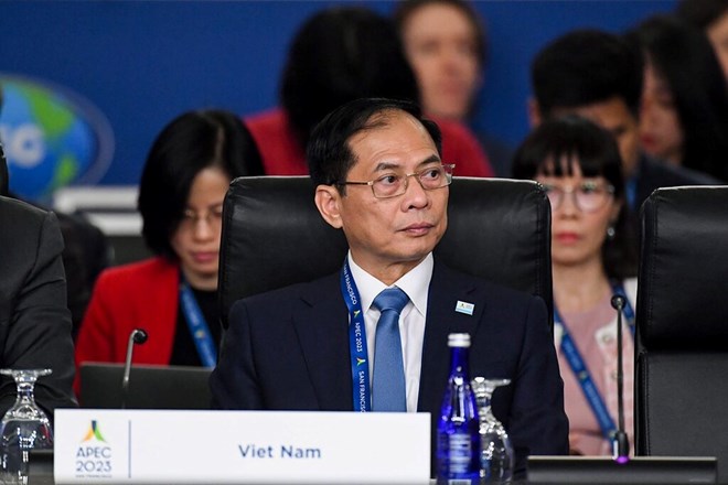 Bộ trưởng Bộ Ngoại giao Bùi Thanh Sơn dự hội nghị. Ảnh: BNG
