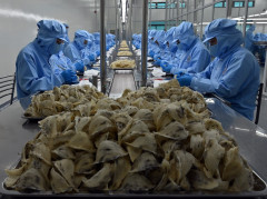 Công bố xuất khẩu chính ngạch lô sản phẩm Yến sào Sanvinest Khánh Hòa sang thị trường Trung Quốc