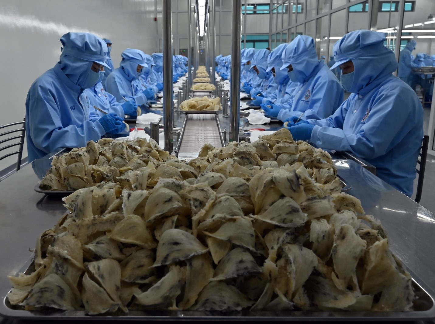 Nhà máy chế biến nguyên liệu Yến sào Sanvinest Khánh Hòa tại cụm công nghiệp Sông Cầu.