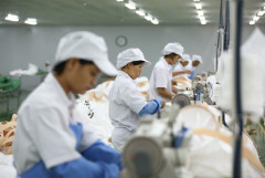 Cần khai thác hiệu quả lao động chuyên sâu từ nước ngoài trở về