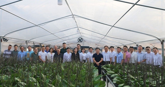 Business representatives visit the orchid growing model of a member business household.