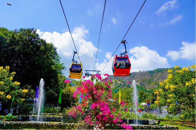 Climb aboard the Cam Mountain cable car and soar above a carpet of vibrant flowers.